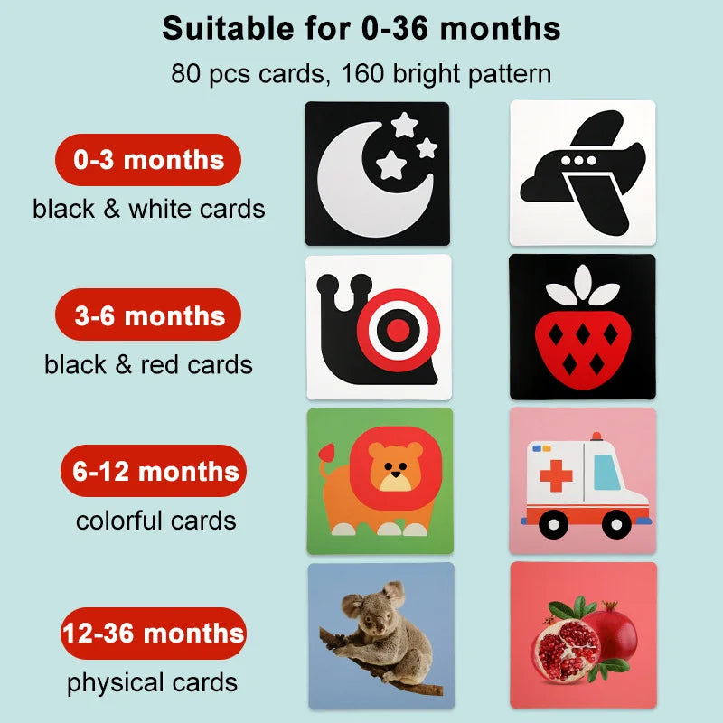 Cartes Montessori pour enfant malvoyants
